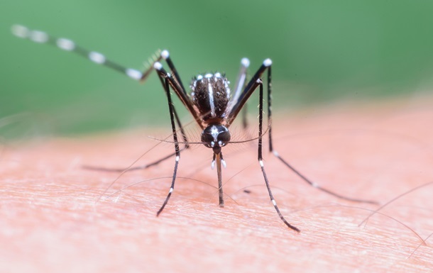 На Полтавщине зафиксирован случай тропической малярии