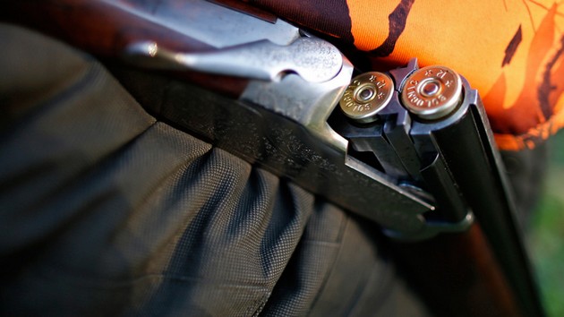 На Житомирщине из винтовки ранили 10-летнюю девочку: детали инцидента