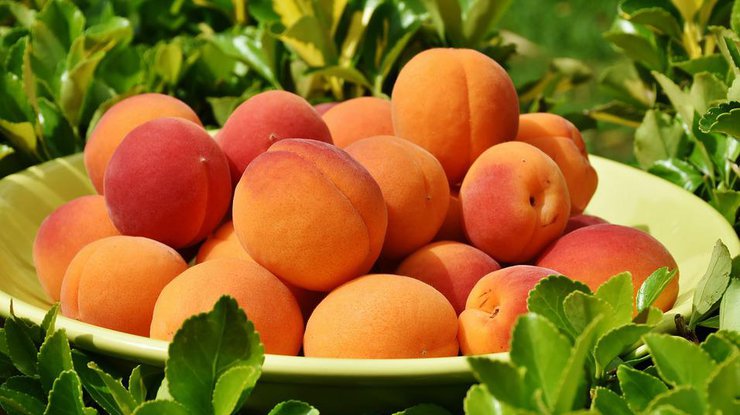 Медики сообщили, кому нельзя есть персики