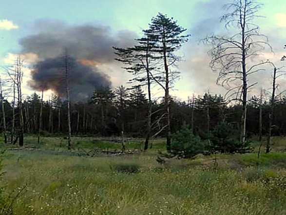 Пожар около Станицы Луганской: горит 20 га леса