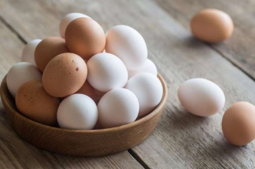 Стало известно, почему одни куриные яйца – коричневые, а другие – белые