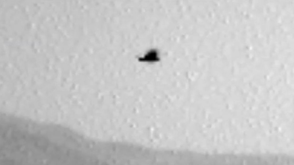 Curiosity запечатлел на Марсе... птицу. ВИДЕО