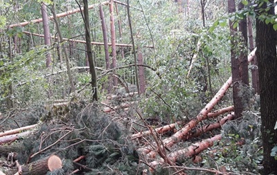 На Черниговщине ураган уничтожил 160 гектаров леса