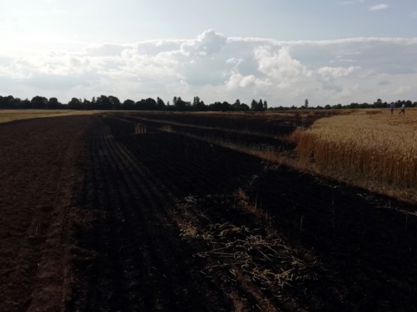 В Хмельницкой области сгорело 3 га урожая