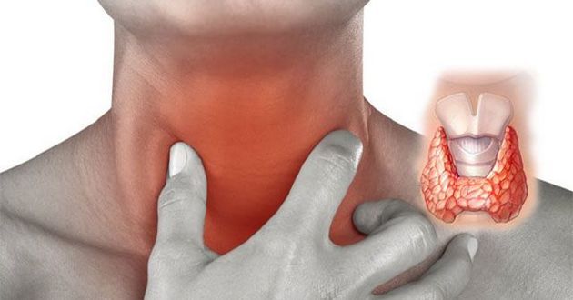 7 продуктов, которые помогут улучшить работу щитовидной железы