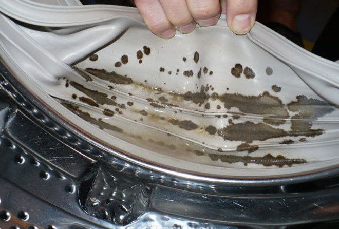 Как сделать, чтобы грибок в стиральной машине ушел навсегда