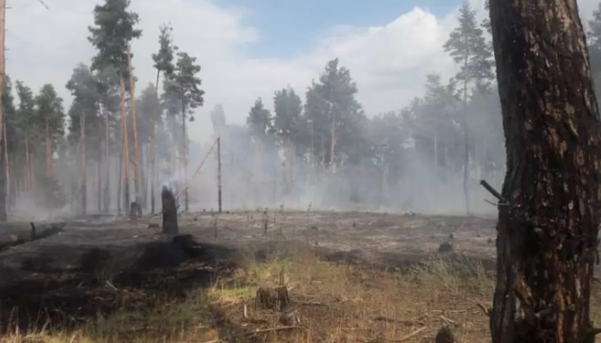 Масштабный пожар на Херсонщине: горит лес
