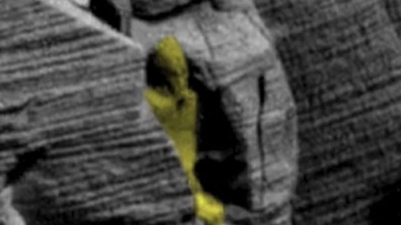Древние египтяне прилетели Красной планеты: на Марсе нашли саркофаг