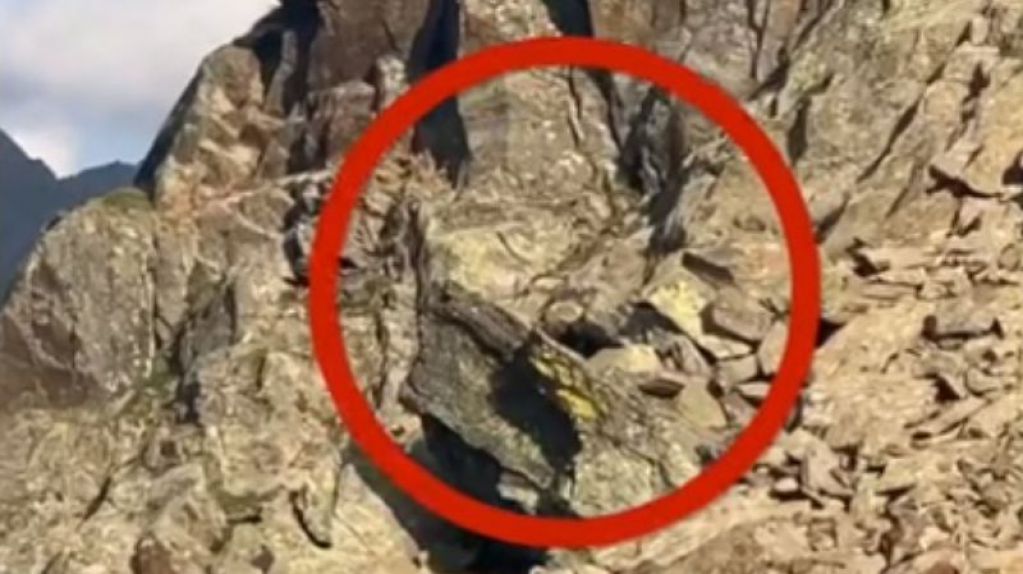 В Швейцарских Альпах видели непонятное существо. ВИДЕО