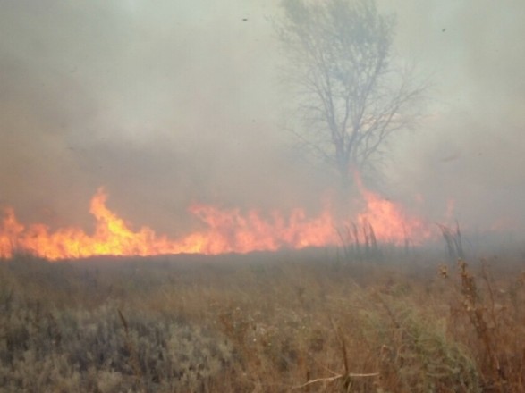 ЧП на Харьковщине: военный полигон заволокло дымом – горят торфяники