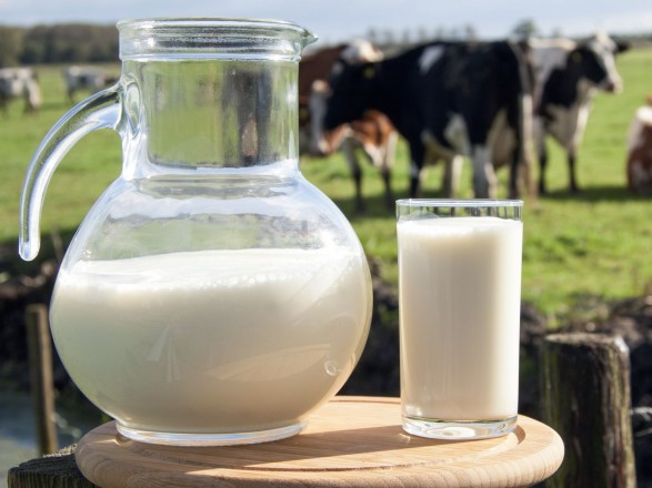 В Украине резко сократилось производство молока