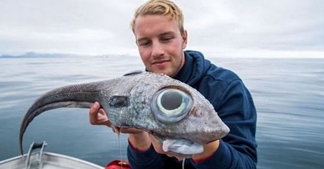 Рыбак поймал "глазастого динозавра"
