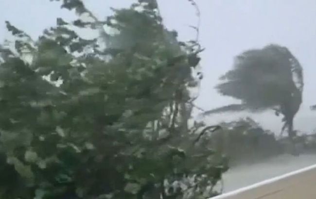 Тысячи домов обесточены, повалены сотни деревьев: ураган забрал жизни нескольких человек