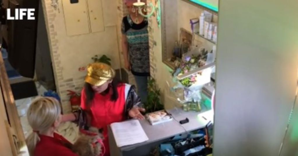 Россиянка устроила скандал, требуя увеличить губы кошке. ВИДЕО