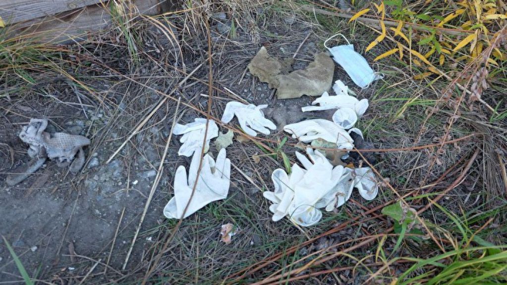 «В топку не входят, приходится рубить»: журналисты обнаружили подпольный крематорий