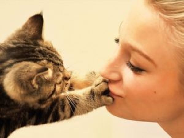 Стало известно, зачем кошки трогают лапкой лицо хозяина