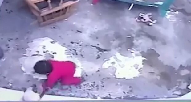 Невероятно, но факт: отважная кошка спасла жизнь годовалому ребенку. ВИДЕО