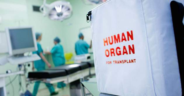 Зеленский приказал заняться трансплантацией органов