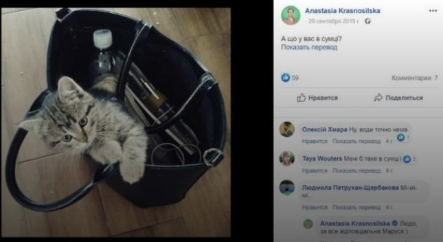Депутат от "Слуги народа" занесла в декларацию... кошку