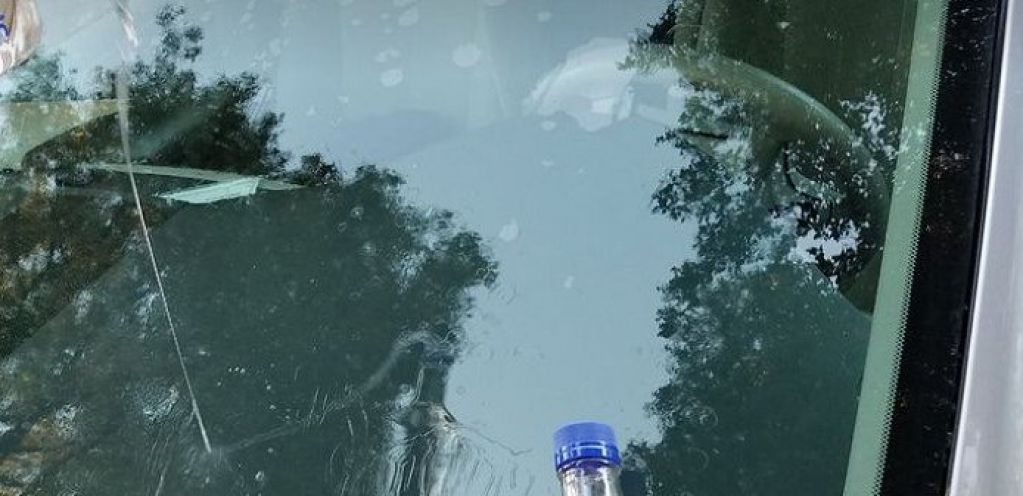 Зачем некоторые водители льют зимой на колеса авто водку или спирт