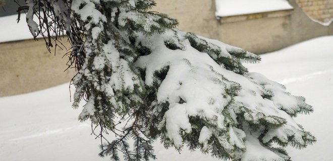 20 см снега и гололед: синоптики рассказали о новых «сюрпризах» 3 декабря