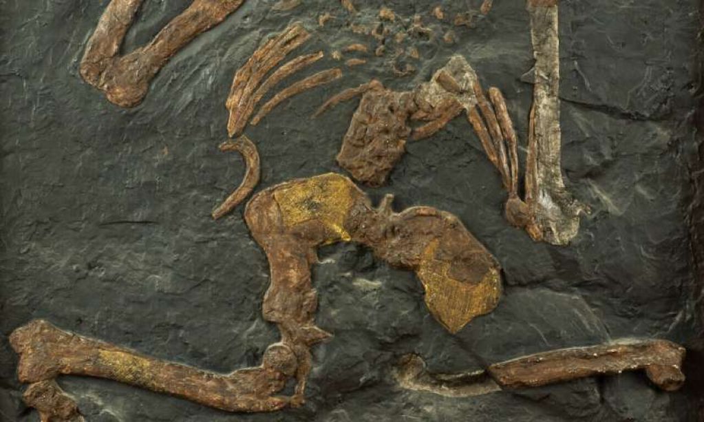 Тайна 150-летнего таинственного гоминоида раскрыта