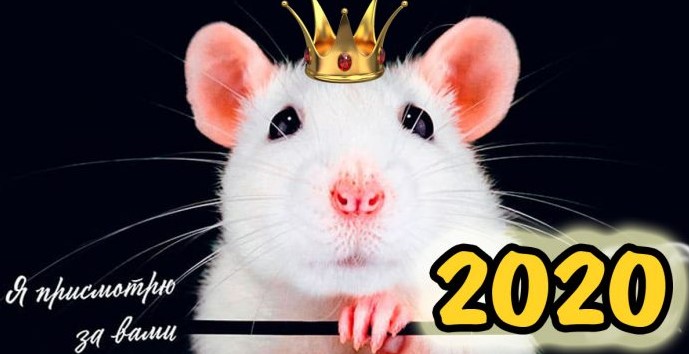 Что пообещала Серебряная Крыса каждому знаку Зодиака в 2020 году
