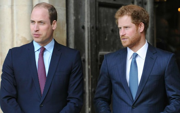 Это оскорбительно и наносит вред: принцы Британии рассказали правду о своих отношениях