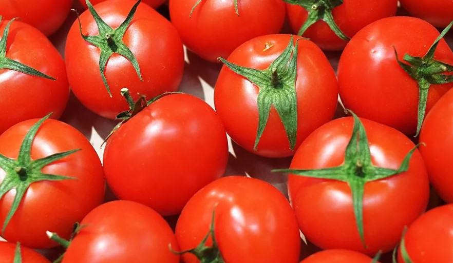Врач-диетолог сообщила, кому нельзя есть помидоры