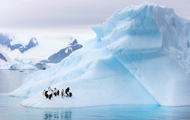 Рекордное потепление зафиксировали в Антарктике: чем это грозит человечеству