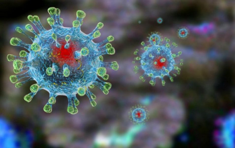 Мир в панике: смертоносный коронавирус убил более 3 тысяч людей -