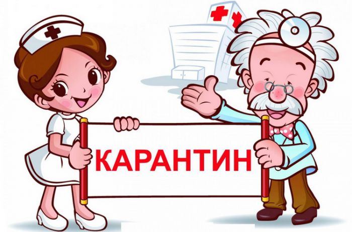 Как нам весело провести карантин?