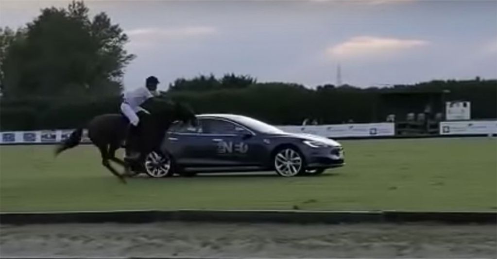 Tesla Model S посоревновалась с лошадью, кто победил. ВИДЕО