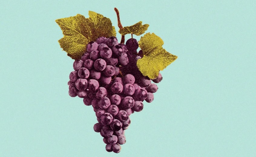 Как выбрать хорошее вино: семь несложных правил