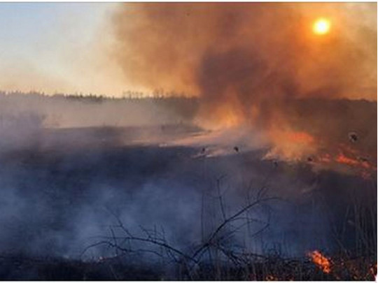 Озвучен неутешительный прогноз по пожарам в Украине