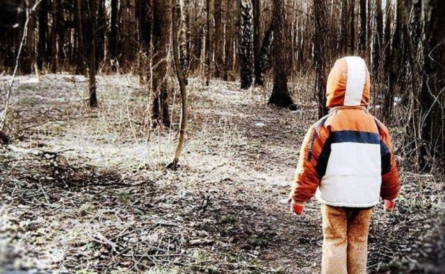 В лесу нашли заблудившегося мальчика, который божился, что ему помог выжить медведь