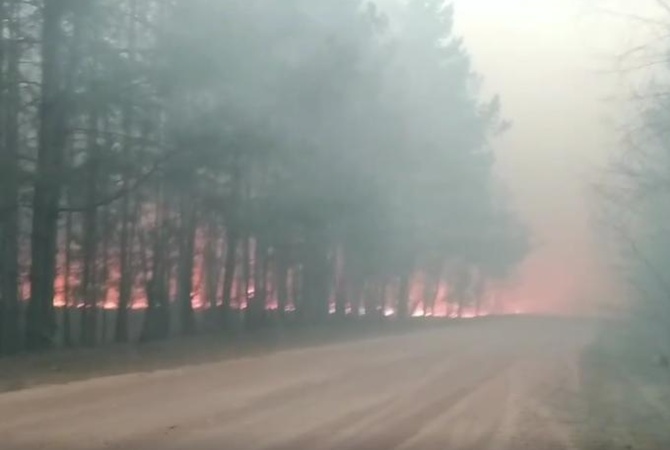 На Житомирщине лесной пожар дотла выжег пять сел. ВИДЕО