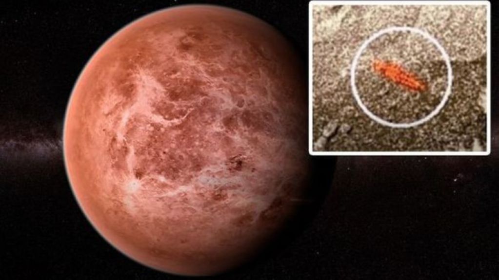 «Венера-13» запечатлела жизнь на Венере