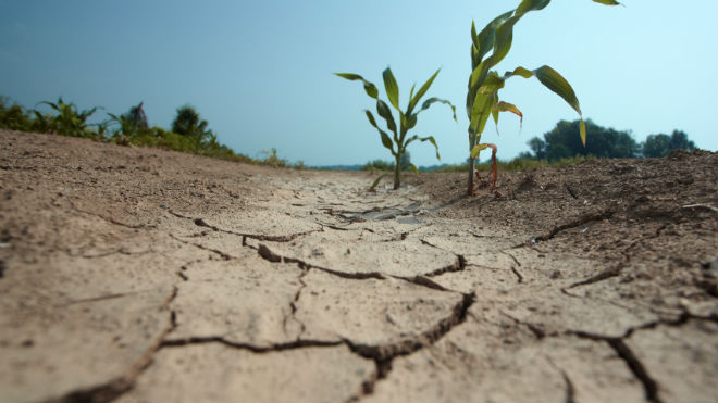 Еще одна напасть: Украине грозит жесткая засуха - воды не будет