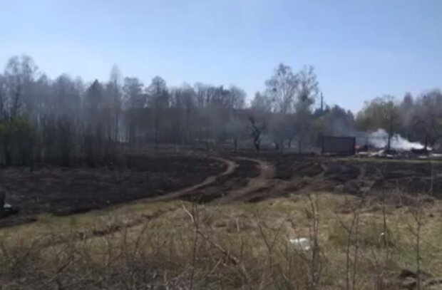 Под Киевом поджигатель превратил в пепелище полсела