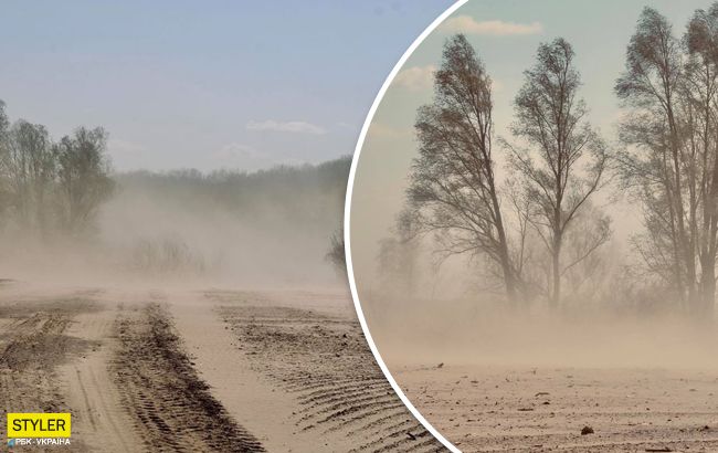 Украина становится пустыней: в Сети показали страшные последствия вырубки лесов