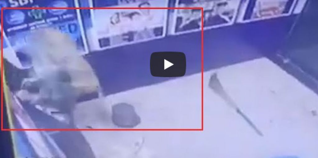 Наглая обезьяна взломала банкомат и убежала. ВИДЕО