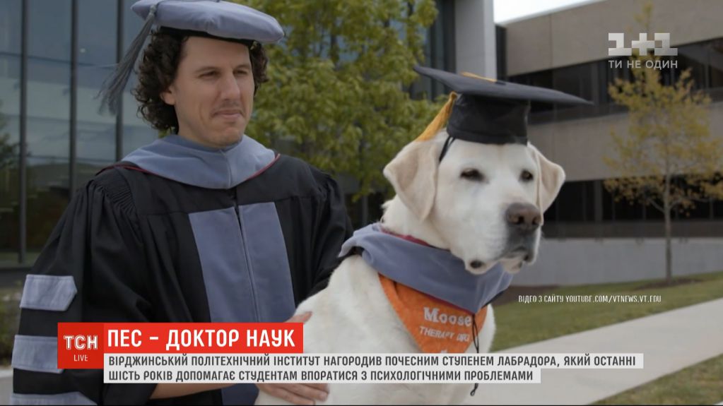 Звание почетного доктора наук впервые присвоили собаке