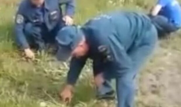 Российских пожарников заставили стричь траву маникюрными ножницами. ВИДЕО