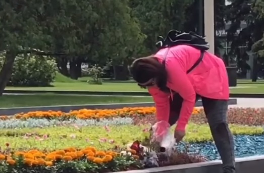 В Харькове женщина средь бела дня воровала цветы с городской клумбы. ВИДЕО