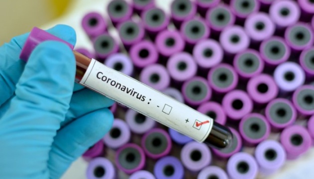 Жертвами коронавирусной болезни в мире стали около 391 тысячи человек