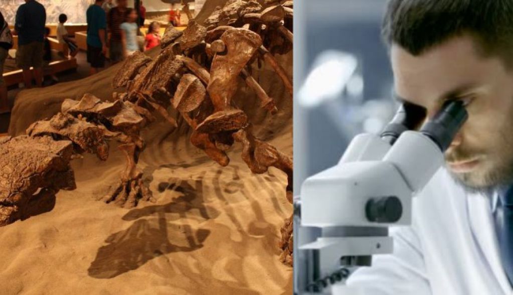 Ученым смоделировали в 3D мозг динозавра