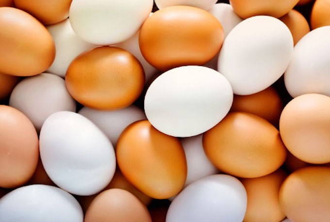 Названа самая большая ошибка, допускаемая при варке яиц