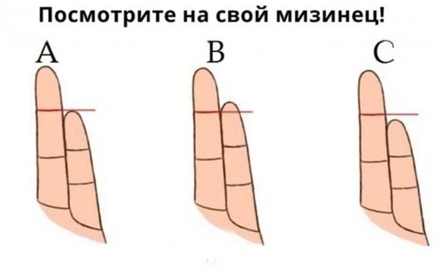 Как влияет на характер длина ваших пальцев