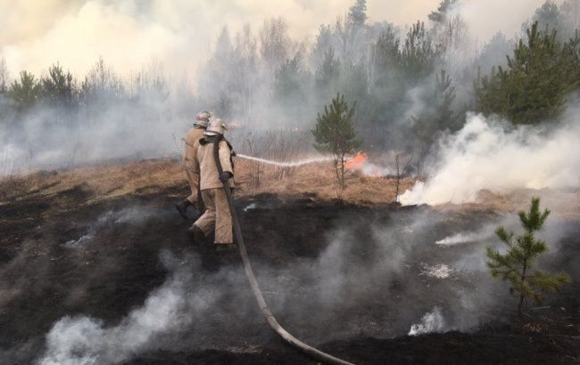 В зоне ЧАЭС опять горит лес: пожарные третьи сутки не могут справиться с огнем